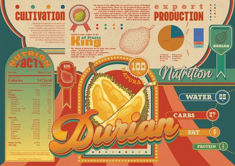 Graphic Design Posters Infographic, Aesthetic Infographic Design Layout, Vintage Infographic Poster, Informative Graphic Design, Vintage Infographic Design, Best Infographic Design, Infographics Design Layout, Infographic Design Poster, Retro Infographic