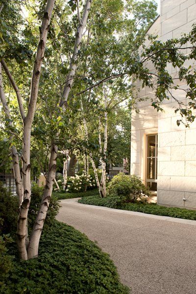 Gravel Driveway Landscaping, Shed Landscaping, Landscape Gardening, Driveway Design, Driveway Landscaping, Modern Landscape Design, Modern Landscape, Landscaping Supplies, Casa Exterior