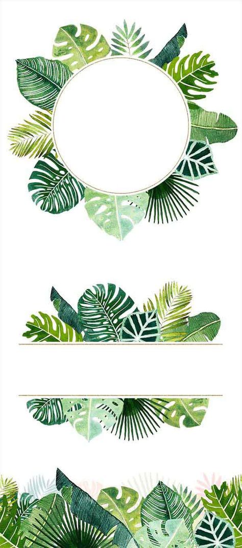 With this amazing hawaii hand painted design collection you can create your unique, tender and creative DIY design in tropical jungle style. This collection ... Tropical Leaf Background, Motif Jungle, Tropical Frames, Idee Cricut, Leaf Clipart, Plant Drawing, Flower Backgrounds, Tropical Leaves, Flower Frame