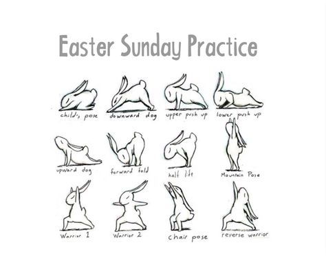 #Easter #Bunny #Yoga #Wanderlust Yoga+Music Fest. #v2Crystals Bunny Yoga, Upward Dog, Warrior Pose, Forward Fold, Yoga Music, Downward Dog, Music Fest, Easy Yoga, Fat To Fit