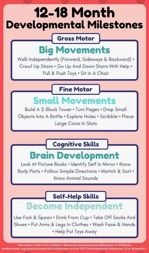 Milestones 12-24 Months, Gross Motor Activities For 12-24 Months, Gross Motor Skills For Infants, 12-24 Month Activities, Nannying Activities, Speech Milestones, Montessori Works, Activities For One Year Olds, Cognitive Activities