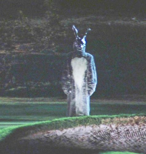 Donnie Darko Aesthetic, Donnie Darko Rabbit, Smurf Village, 2560x1440 Wallpaper, Film Reel, Donnie Darko, Gothic Aesthetic, Jake Gyllenhaal, Aesthetic Images