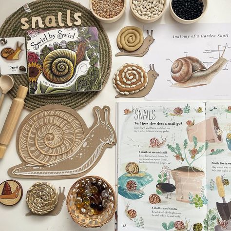 Snail Projects For Kids, Snails Eyfs Activities, Snail Activities For Kids, Montessori Arts And Crafts, Snail Activities For Preschool, Snail Craft Preschool, Snail And The Whale Activities, Snail Terrarium Ideas, Snail Crafts For Kids