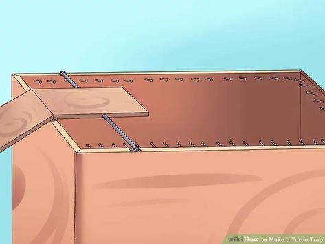 How to Make a Turtle Trap: 14 Steps (with Pictures) - wikiHow Turtle Traps, Turtle Habitat, Fun Educational Activities, Hardware Cloth, Dead Fish, Educational Activities For Kids, Small Ponds, A Turtle, Ponds