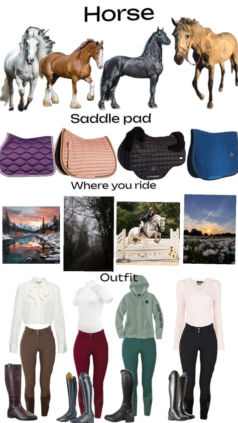 #equestrian #horses #englishriding #horsegirl #ridingoutfit #horseriding This Or That Equestrian Edition, Horse Tack Aesthetic, Flicka Movie, Horse Lovers Bedroom, Horse Riding Gear, Equestrian Horses, Horse Art Drawing, Horse Riding Outfit, Equestrian Aesthetic