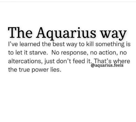 Aquarius Aesthetic, Aquarius Traits, Aquarius Life, Aquarius Truths, Aquarius Love, The Aquarius, Aquarius Quotes, Aquarius Sign, Aquarius Horoscope