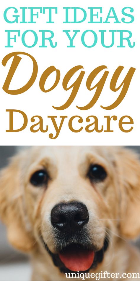 Gift Ideas for Your Doggy Daycare | Thank You Gifts for Dog Sitters | Christmas Gifts for Dog Daycare | What to get for pet sitter | Presents for dog watcher | Pet Minding Service Thank Yous Dog Daycare Christmas Gifts, Dog Daycare Gifts, Pet Sitter Gift Ideas, Dog Groomer Christmas Gift Ideas, Daycare Gift Ideas, Dog Daycare Ideas, Dog Babysitter, Groomer Humor, Dog Sitter Gift