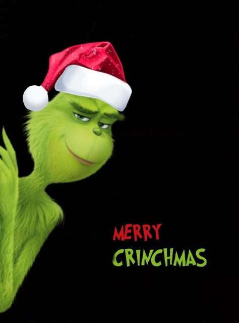 Grinch Images Pictures, Funny Merry Christmas Images, Christmas Cartoon Movies, Immagini Grinch, Grinch Wallpaper, Xmas Cartoon, O Grinch, Xmas Wallpapers, Santa Jokes