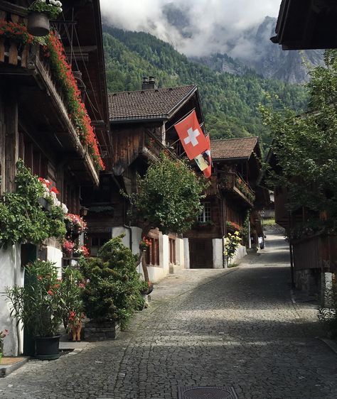 The quiet street in Switzerland #beautiful #awesome #great #dayobamidele Switzerland Countryside House, Switzerland House Aesthetic, Switzerland Street, Switzerland House, Europe Tour, Building Aesthetic, Vintage Poster Design, Countryside House, Europe Tours