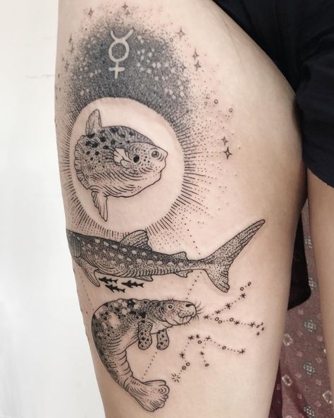 Sunfish, whale shark, manatee with mercury and constellations. Thanks Phyllis for traveling from Hong Kong! ☀️🐡🦈 Done @tenderfootstudio Sunfish Tattoo, Tardigrade Tattoo, Acid Tattoo Ideas, Manatee Tattoo, Biology Tattoo, Pony Reinhardt, Whale Shark Tattoo, Ocean Sleeve Tattoos, Sick Tattoo