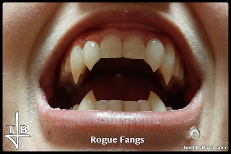 Snake Fangs Human, Vamp Fangs, Fang Reference, Fangs Reference, Mouth With Fangs, Vamp Teeth, Double Fangs, Fang Teeth, Fangs Aesthetic