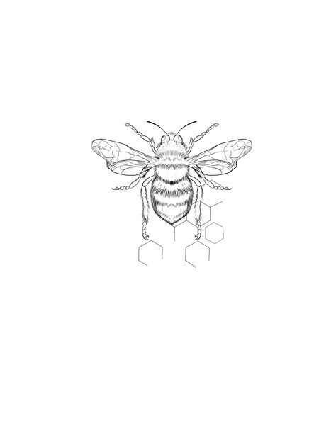 Bee Tattoo Designs Drawings, Colour Bee Tattoo, Simple Bee Tattoo Design, Linework Bee Tattoo, Bee Wings Tattoo, Seratonin Bee Tattoo, Abstract Bee Tattoo, Bee Tattoo Drawing, Bee Tattoo Stencil