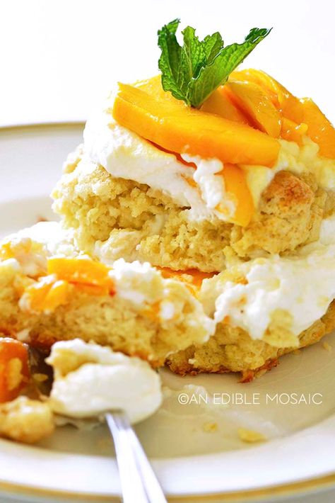 homemade fresh mango shortcake recipe Mango Shortcake, Shortcake Recipes, Fruit Topping, Summer Shoot, Shortcake Recipe, Mango Sorbet, Carrot Cake Cupcakes, Fruit Toppings, Spiralizer Recipes