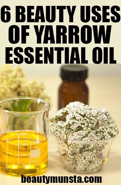 Benefits Of Yarrow, Yarrow Oil, Yarrow Essential Oil, Invest In Your Skin, Natural Beauty Hacks, Yarrow Plant, Rosemary Hair, Castor Oil For Hair Growth, Thyme Oil