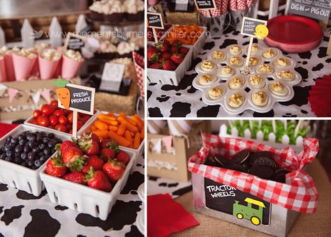 Aylah Turns 2 ~ A Farm Themed Birthday | Moments on the Blog Food Tables, Farm Themed Party, Barnyard Birthday Party, Farm Theme Birthday, Farm Animal Party, Farm Baby Shower, Farm Themed Birthday Party, Farm Animals Birthday Party, Barnyard Party