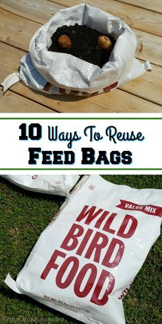 Have some feed bags kicking around? No need to toss them in the trash! I am going to share some ideas for 10 ways to reuse feed bags! #reuse #upcycle #upcycling #reused #reusing #upcycling #feedbags #moneysaving #thrifty Reuse Things, Feed Sack Bags, Feed Bag Tote, Reuse Recycle Repurpose, Reuse Old Tires, Feed Bag, Food Net, Planter Bags, Recycling Information