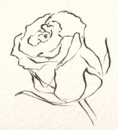 flowers for flower lovers.: flowers drawing. Rose Sketch, Draw Flowers, Best Pencil, Rose Drawing, Roses Drawing, Plant Drawing, Trendy Flowers, Wow Art, Art Instructions