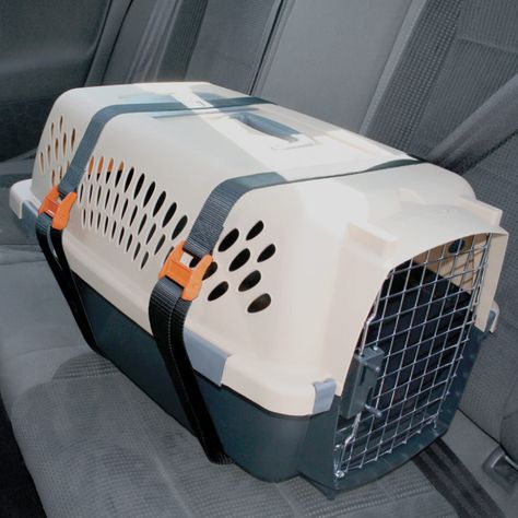 Dog Travel Crate, Pet Kennels, Pet Car Seat, Pet Crate, Dog Projects, Dog Safety, Pet Car, Cat Carrier, Dog Activities