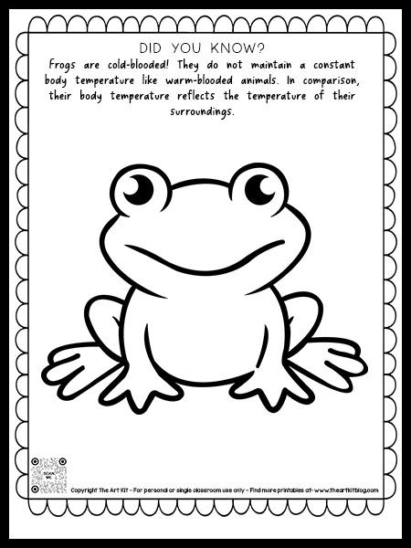 Frog Coloring Page with Fun Fact, They're Cold-Blooded ... {FREE PRINTABLE} - The Art Kit Free Frog Printables, Frog Coloring Pages Free Printable, Infant Teacher, Frog Party Ideas, Frog Template, Infant Sensory, Frog Puppet, Frog Coloring, Frog Activities