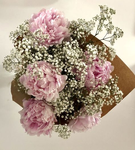 Peonies Baby Breath Bouquet, Peonies Flower Bouquet, Peony Carnation Bouquet, Bouquet Of Flowers Peonies, Flower Bouquet With Peonies, Peony And Gypsophila Bouquet, Peonies And Carnations Bouquet, Peony And Baby Breath Bouquet, Peonies And Baby Breath Bouquet