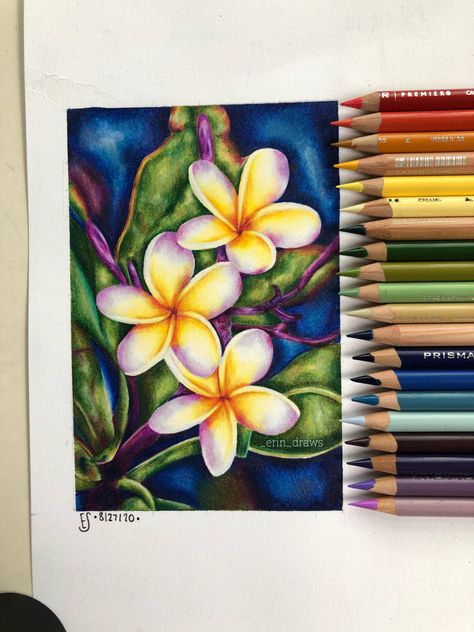 Colored Pencil Drawing Ideas, Draw Sea Animals, Realistic Flower Drawing, Draw Sea, Watercolor Still Life, Pencil Drawing Ideas, Colored Pencil Art Projects, Bird Painting Acrylic, Color Drawing Art