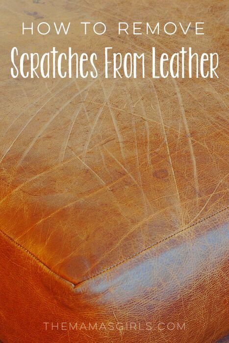 How To Get Scratches Out Of Leather!!#Decor#Trusper#Tip Cleaning Painted Walls, Deep Cleaning Tips, Leather Repair, Craft Room Storage, Botanical Illustrations, Cleaners Homemade, Clean Dishwasher, Simple Life Hacks, Toilet Cleaning