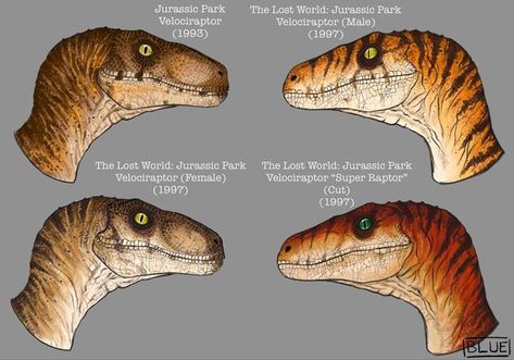 Velociraptor Art, Velociraptor Jurassic Park, Jurassic Park Characters, Cry About It, Jurassic Park Poster, Realistic Animal Drawings, Jurassic Park Birthday, Raptor Dinosaur, Dinosaur Sketch