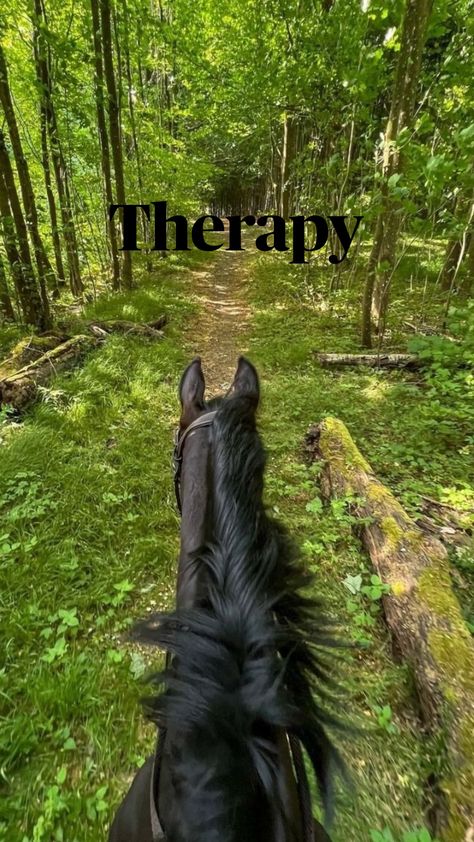 #therapy #horse #life Aesthetic Animated, Manga Animation, Horsey Life, Horse Riding Aesthetic, Equestrian Aesthetic, Cute Horse Pictures, Escape From Reality, Horse Trail, Horse Aesthetic