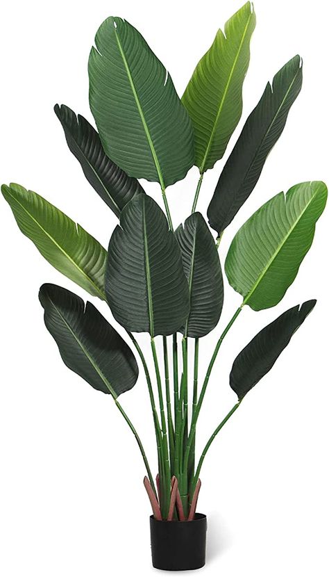 Banana Leaf Plant, Tall Fake Plants, Large Leaf Plants, Tall Potted Plants, Rubber Tree Plant, Palm Tree Decorations, Bird Of Paradise Plant, Paradise Plant, Potted Plants Outdoor