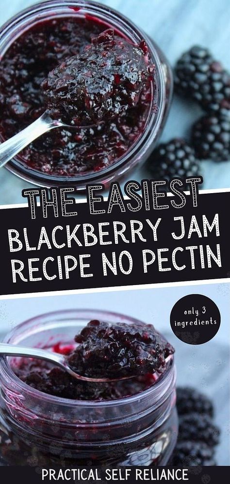 This Easy Blackberry Jam Recipe No Pectin is a great way to start canning blackberries. Preserve the natural flavors of fresh blackberries in jars of sweet and tangy jam. Perfect for spreading on toast, scones, or using in your favorite recipes. Discover the joy of canning fruit and enjoy the taste of summer all year round. Elevate your jam-making skills and create a pantry staple with this simple blackberry jam canning recipe. Easy Blackberry Jam, Canning Blackberries, Creative Canning, Blackberry Jam Recipe, Preserving Fruit, Homemade Blackberry Jam, Jam Canning, Blackberry Jam Recipes, Canning Jam Recipes