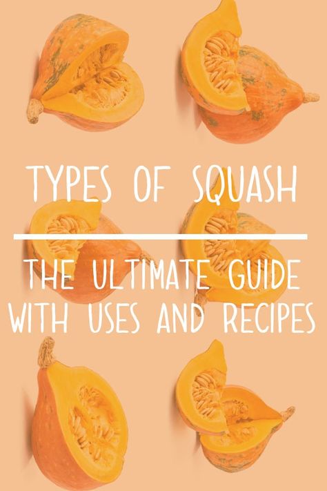 Lakota Squash Recipes, Heirloom Squash Recipes, Different Squash Types, Kuri Squash Recipe, Autumn Dinner Ideas, Carnival Squash, Types Of Squash, Sweet Dumpling Squash, Squash Types