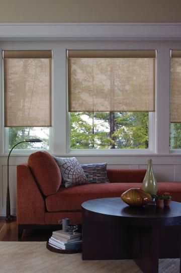 Make a Subtle Statement with Roller Shades Roller Shades Living Room, Shades Living Room, Couch Grau, Solar Roller Shade, Budget Blinds, Diy Window Treatments, Woven Wood Shades, Rustic Industrial Decor, Solar Shades