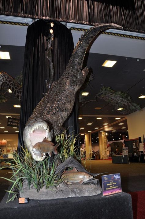 Best mount photos from the Safari Club International Convention floor.  #taxidermy #trophyroom #trophyhunting Hunting Mounts, Waterfowl Taxidermy, Taxidermy Decor, Fish Mounts, Taxidermy Display, Animal Taxidermy, Deer Mounts, Hunting Room, Hunting Decor