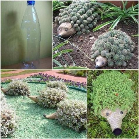 Diy Plastic Bottle, نباتات منزلية, Budget Backyard, Beautiful Backyards, Garden Crafts, The Grass, Diy Backyard, Dream Garden, Garden And Yard