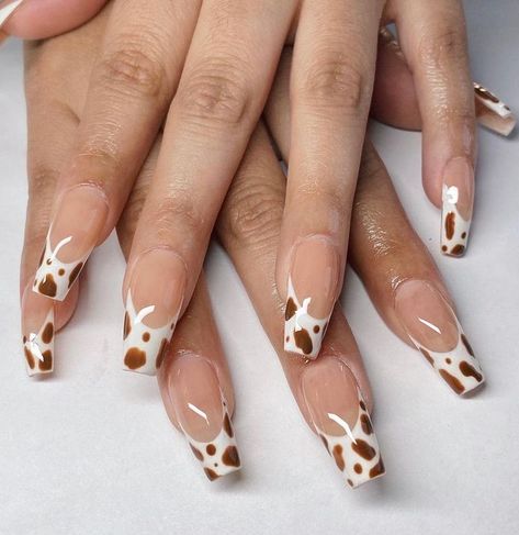 30 Beautiful Cow Print Nails Design You'll Definitely Love - in 2022 | Cow nails, Country acrylic nails, Rodeo nails https://www.pinterest.com/pin/30-beautiful-cow-print-nails-design-youll-definitely-love-in-2022--131519251609934289/ Acrylic Cow Print Nails, Nails Acrylic Cow Print, Cow Print Nails Brown, Cow Print Nail Ideas, Print Nails Design, Country Nail Designs, Country Acrylic Nails, Rodeo Nails, Cow Print Nails