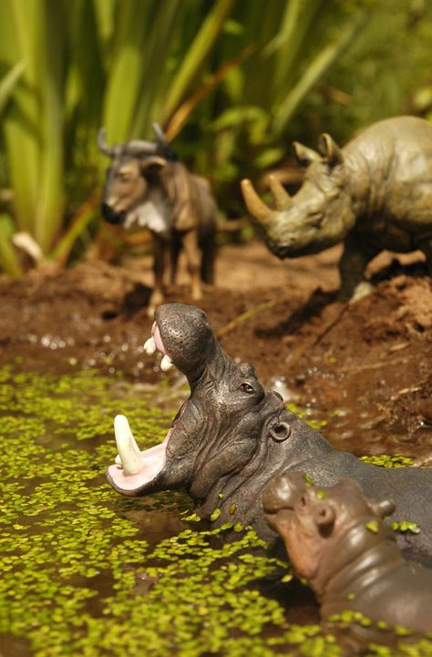 Rhino / Hippo diorama Hippo Diorama, Schleich Toys, Schleich Photography, Schleich Ideas, Horse Figures, Animal Taxidermy, Jungle Room, Terrarium Decor, Legendary Creature