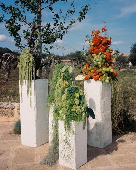 Spanish model @blancapadilla celebrated her dream wedding in Menorca! The ceremony featured chic rustic elements and stunning floral arrangements, including a bride’s unique hoop bouquet, all set against the magical Mediterranean landscape. Every detail exuded style and sophistication, making it a truly unforgettable day. Photo @diasdevinoyrosas Planner @brichsevents Florals @demaresstudio Art director @octubre.studio Venue @vestige.collections Video @andresgarlujan Mediterranean Wedding Ceremony, Menorca Wedding, Mediterranean Wedding Theme, Spanish Style Weddings, Elegant Wedding Themes, Mediterranean Wedding, Spanish Wedding, Mediterranean Landscaping, Organic Wedding