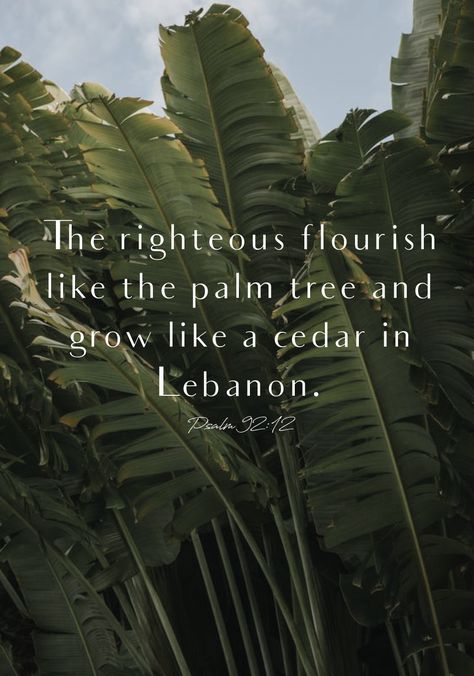 Flourish Bible Verse, Tree Bible Verse, Beach Pictures Wallpaper, Psalm 92, Scripture Images, Tree Quotes, Study Scripture, Deep Thinking, Ordinary Life