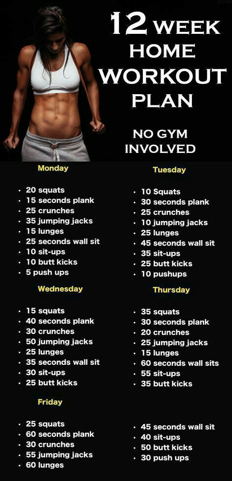 8 Week Workout Plan, Transformation Du Corps, Home Workout Plan, Motivasi Diet, No Gym, Weekly Workout Plans, Trening Fitness, Body Workout Plan, At Home Workout Plan