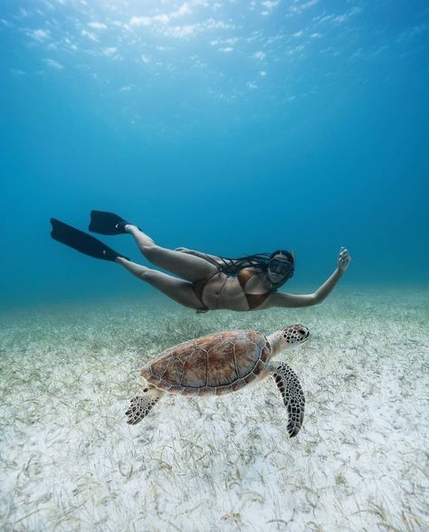 DIVE SPIRIT MEXICO on Instagram: “When you and your friend got matching outfits!😎🤙 📸Via (preview): @suahuatica / @milan.adjani . ⚠️FOLLOW @dive_spiritmx for more!⚠️ . . . .…” Underwater Art, Snorkeling Gear, Underwater Photos, A Turtle, Underwater Photography, Photographic Art, Scuba Diving, Marine Life, Snorkeling