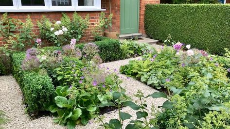 Gallery | The Distinctive Gardener | Ealing W5, west London Front Garden Ideas, West Facing Garden, Hidden Garden, London Garden, Family Garden, Garden Oasis, City Garden, Garden Designs, Front Of House