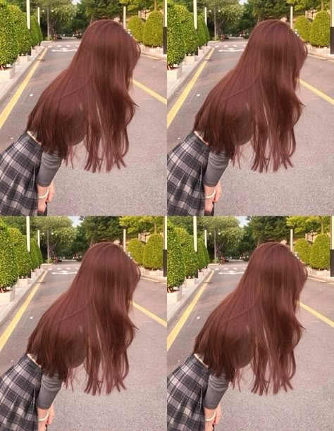 Strawberry Brown Hair Color, Pinkish Brown Hair, Strawberry Brown Hair, Orange Brown Hair, Ashy Hair, Brown Hair Color Shades, Hair Color Mahogany, Korean Hair Color, Hair Color Underneath