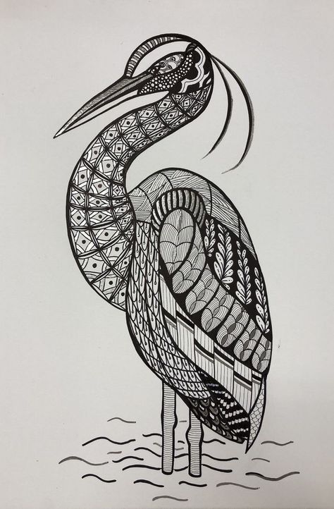 Zentangle Patterns Animals, Animal Zentangle Art, Birds Mandala Art, Zentangle Animals Easy, Bird Mandala Art, Zentangle Birds, Zentangle Fish, Zentangle Animals Art, Turtle Coloring