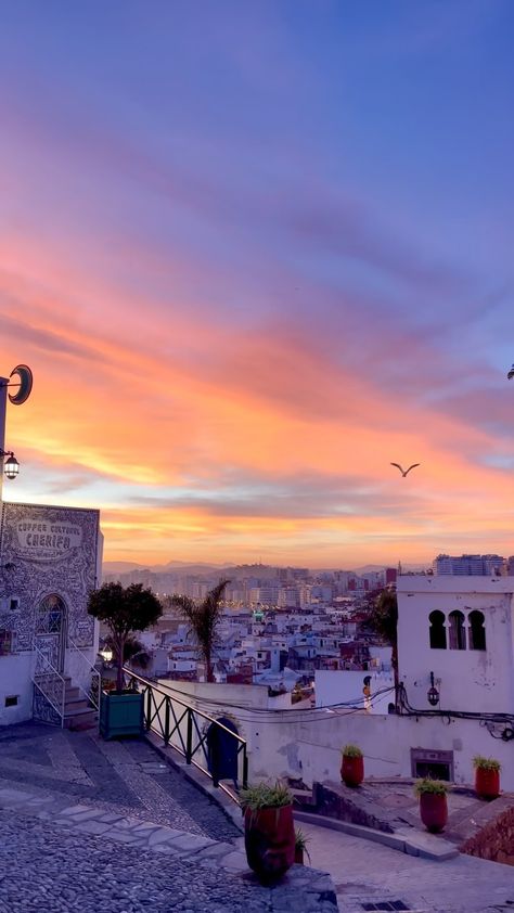 Out in Tangier (@out_in_tangier) • Instagram photos and videos Tangier Morocco, 25k Followers, Visit Morocco, Tangier, Photo Instagram, Morocco, Instagram Photos, Architecture, Photo And Video