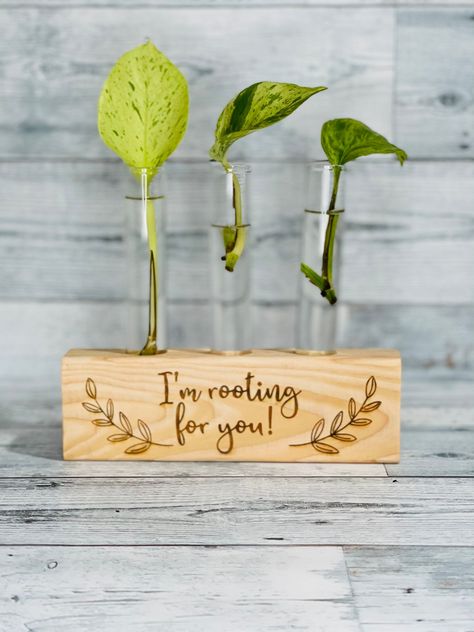 These propagation stations are perfect for displaying your house plant cuttings as they grow or a great way to display flowers from your garden! They even come with an encouraging message to help encourage you and your plants to grow! 🪴 INFO: These propagation stations are handmade. They are cut, drilled and laser engraved. The tubes are included. They can be left natural or stained in briarsmoke. ❤ SIZE: Choose from 8in (3 tubes) or 10in (5 tubes) x 3in H x 2in D PROCESSING TIME: Your product Propagation Station, Plants To Grow, Plant Vase, Plant Cuttings, Cork Stoppers, Propagating Plants, Diy Planters, Planter Pots Indoor, Pretty Plants