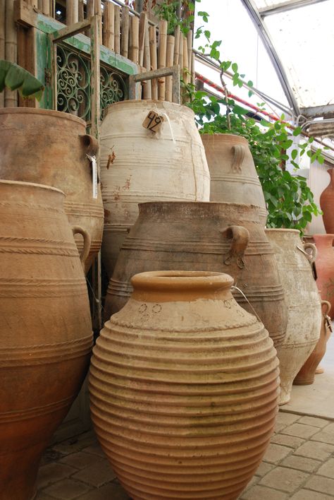 Greek Terracotta Pots, Large Terra Cotta Pots, Large Terracotta Planters, Antique Pots, Big Pots, Large Terracotta Pots, Aesthetic Gardening, Gardening Aesthetic, Tattoo Plant