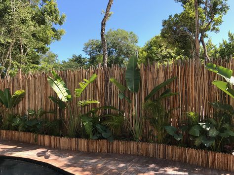 Bamboo Partition Wall Outdoor, Bamboo Fencing, Outdoor Beer Garden, Coffee House Design, Lampang, Bamboo House Design, Outdoor Restaurant Design, Natural Fence, Farm Plans