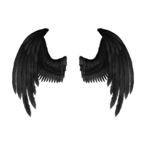 Wing Sticker, Wings Sketch, Halloween Wings, Wings Png, Black Hair Accessories, Wings Wallpaper, Zodiac Sign Fashion, Black Angel Wings, Photo Elements