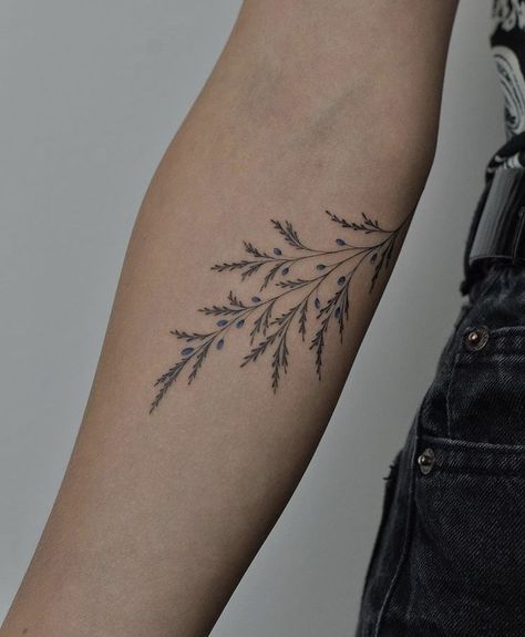 Juniper Plant Tattoo, Fine Line Juniper Tattoo, Botanical Wrap Around Tattoo, Juniper Leaf Tattoo, Juniper Tattoo Branches, Evergreen Branch Tattoo, Fern Wrap Around Tattoo, Juniper Branch Tattoo, Wild Grass Tattoo