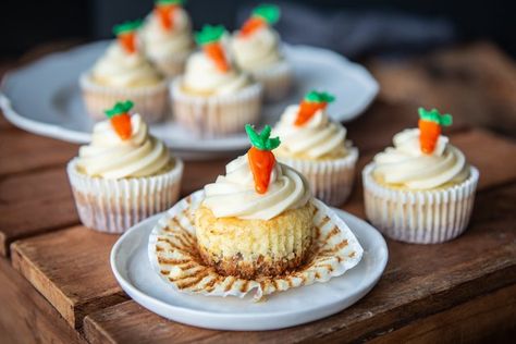 These delicious and adorable carrot cake cheesecake cupcakes are the perfect make-ahead Easter/Spring dessert! Carrot Cake Cheesecake Cupcakes, Carrot Cake Mini, Mini Cheesecake Cupcakes, Cheesecake Cupcakes Recipe, Mini Carrot Cake, Carrot Cake Cheesecake, Cake Cheesecake, Cake Mini, Pecan Cake